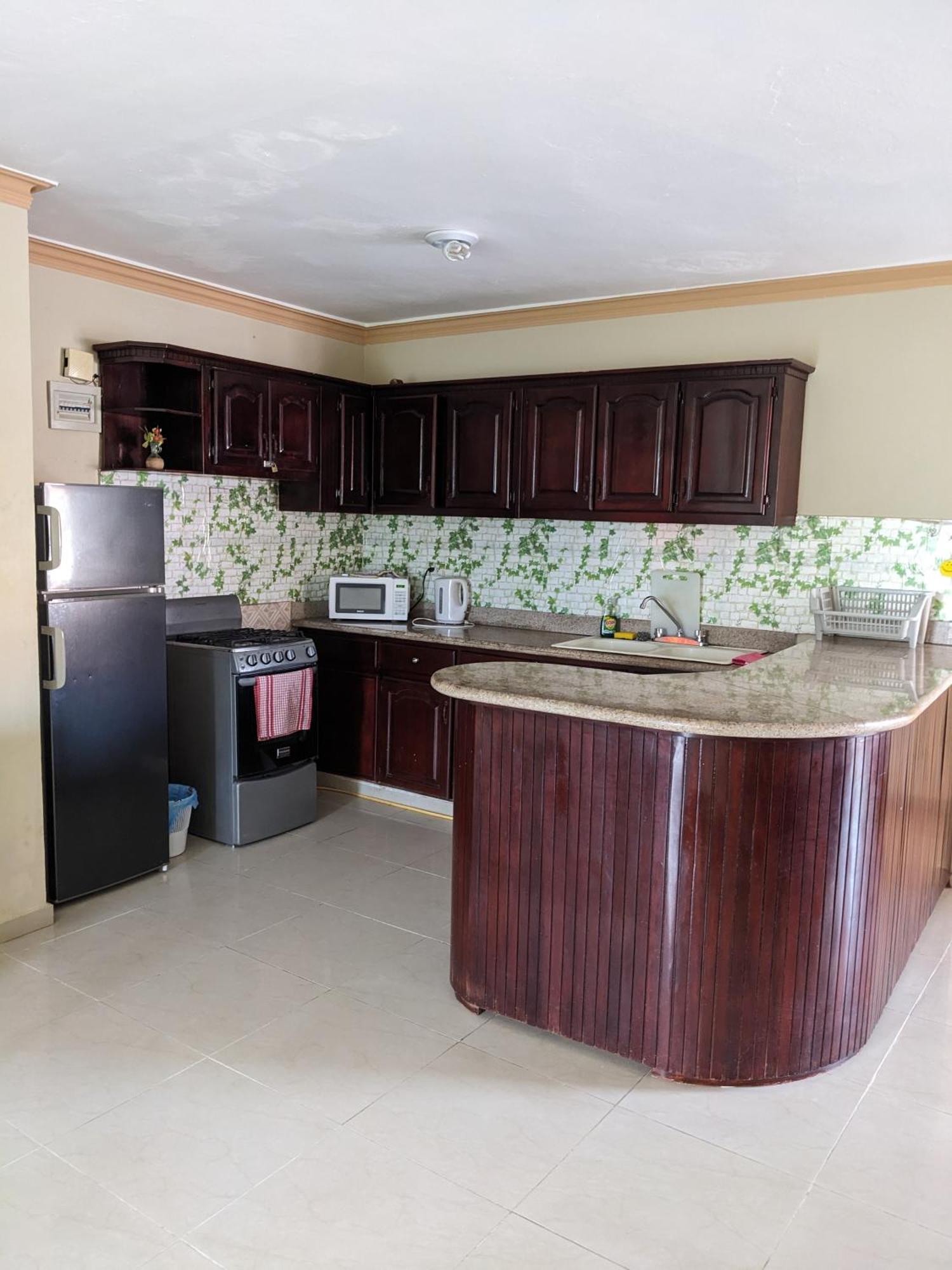 M & L Shared Apartment ปุนตากานา ภายนอก รูปภาพ